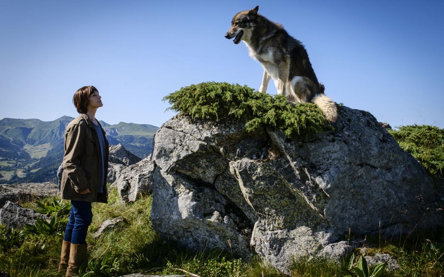 Murder on the Sancy Massif