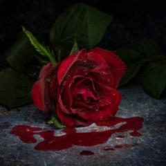 Les Mystères de la Rose Eternelle 