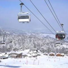 Murder in Saint Loup